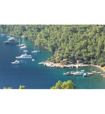 Туры в Турцию из Узбекистана — отдых в Анталии, Бодруме, Даламане, Стамбуле и Фетхие